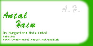 antal haim business card